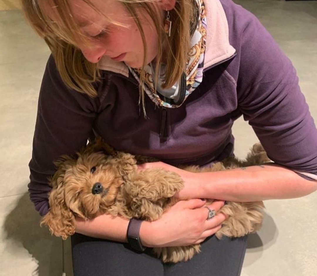 Elsa calmly holding a small puppy